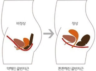 알파메딕